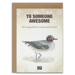 TO SOMEONE AWESOME