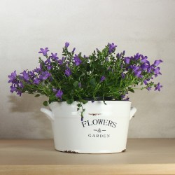 White Flowerpot with Text